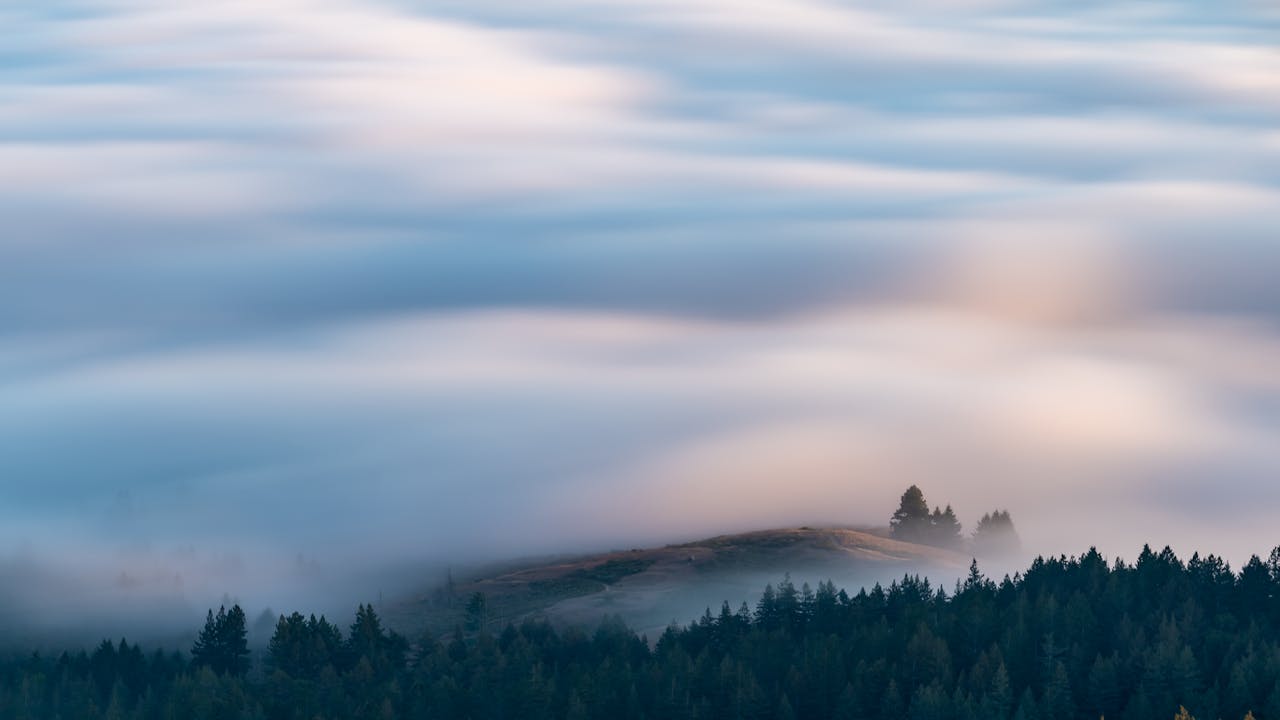 Home A tranquil aerial view of clouds drifting over a dense coniferous forest and hills.